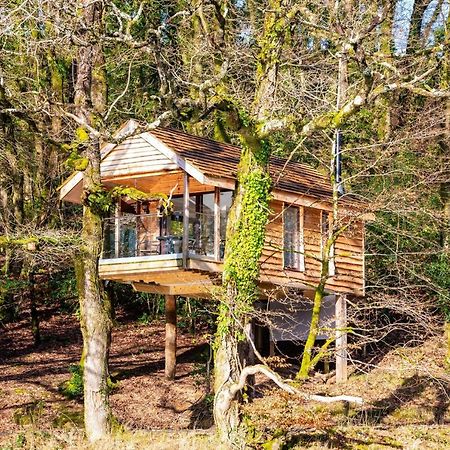 Finest Retreats - The Tree House - Eco-Friendly, Back To Nature Experience Germansweek Ngoại thất bức ảnh