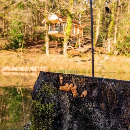 Finest Retreats - The Tree House - Eco-Friendly, Back To Nature Experience Germansweek Ngoại thất bức ảnh