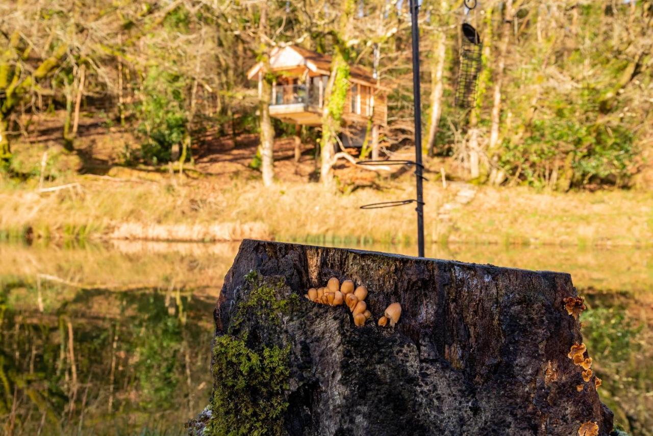 Finest Retreats - The Tree House - Eco-Friendly, Back To Nature Experience Germansweek Ngoại thất bức ảnh